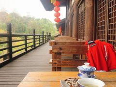 -大唐贡茶院