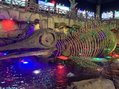 -南京银杏湖乐园