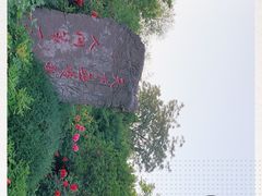 -洛阳市牡丹公园