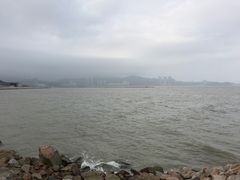 -野狸岛
