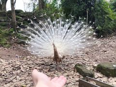 -笑红饭庄