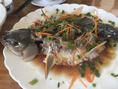 -悠悠美食