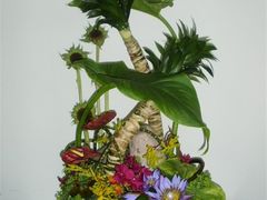 -荷兰布尔玛国际花艺学院