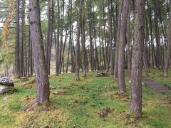 -硗碛藏寨·神木垒景区