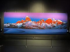 -罗红摄影艺术馆