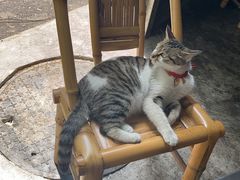 -铜瓢江湖兔火锅(水碾河社区店)