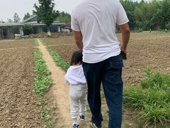 -田园东方蜜桃村的田野营地