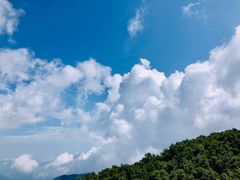 -白草畔自然风景区