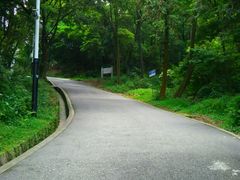 -广州市帽峰山景区