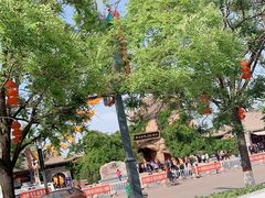 -大槐树寻根祭祖园