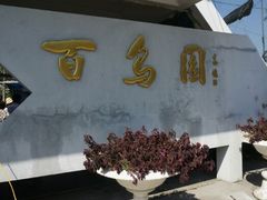 android_upload_pic-百鸟园