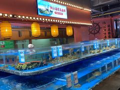 -张家卫·阳江菜·小海鲜(肥婆湾桥店)