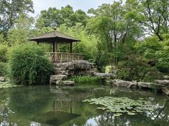 -习家池