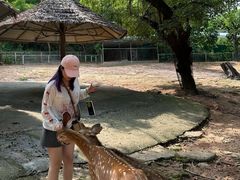 -深圳野生动物园