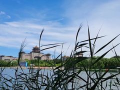 -莲花池公园