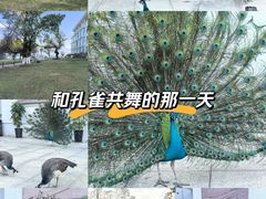 -西昌邛海宾馆