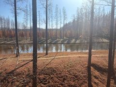 -黄海国家森林公园