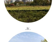 -上海山野camping·户外天幕烧烤·团建拓展营地