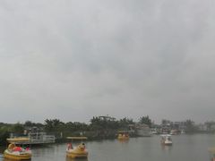 -空港花田景区