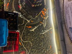 -燕喜堂·中华老字号(大明湖店)