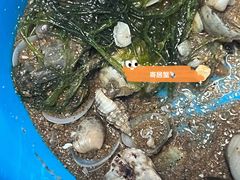 -在海一方公园