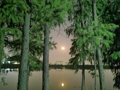 -金银湖国家城市湿地公园