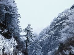 -洛阳白云山景区