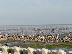 -南汇新城海滩