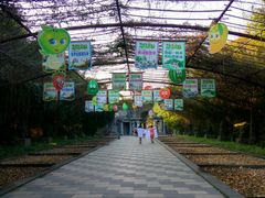 -森波拉火山温泉