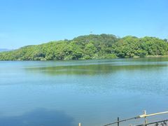 -福建鲤鱼洲酒店