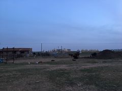 -希拉穆仁草原