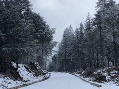 -硗碛藏寨·神木垒景区