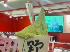 -野人先生现做冰淇淋(北京王府井东方新天地店)