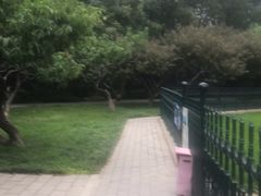 -玲珑塔公园