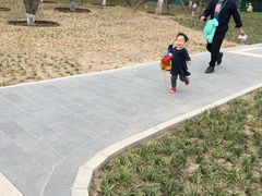 -西海子公园