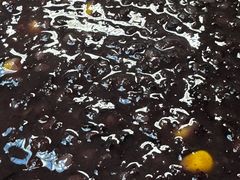 -芸海阁·农家私房菜(沙家浜景区出口店)