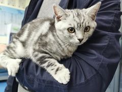 -佳怡动物医院·平价24小时·猫专科骨外科