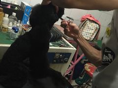 -酷狗靓猫宠物·洗护·美容·寄养(航北路店)
