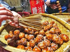 糖油果子-邓记新一代糖油果子(四川煤管局供销公司职工宿舍店)