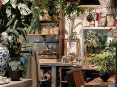 -自由生长植物工作室(深港花卉中心店)
