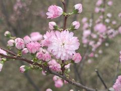 -迎泽公园
