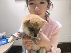 -逗柴咖啡屋·狗咖猫咖宠物桌游