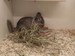 -龙猫仔乐园(惠福东路店)