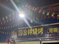 -杨合林啊兰烤鱼