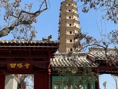 -白塔山公园