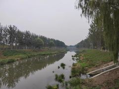 -东郊湿地公园