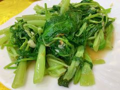 炒时菜-浩海美食店(闸坡店)