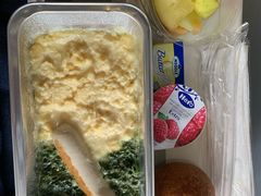 -德国汉莎航空公司