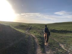 -山丹皇家马场