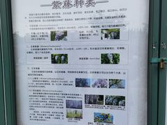 -嘉定紫藤园